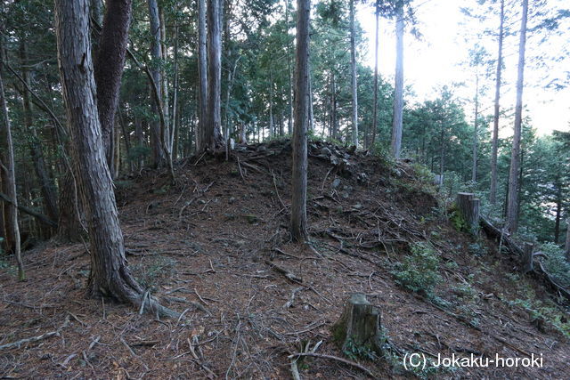 美濃 太鼓部屋砦の写真