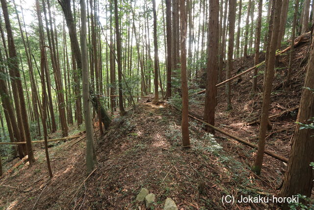 美濃 天王山砦の写真