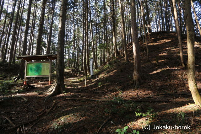 美濃 野尻城の写真