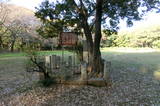 武蔵 赤塚城の写真