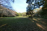 武蔵 赤塚城の写真