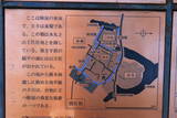 武蔵 赤山城の写真