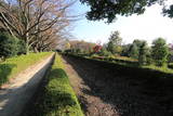 武蔵 赤山城の写真