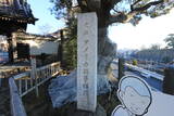 武蔵 青木城の写真