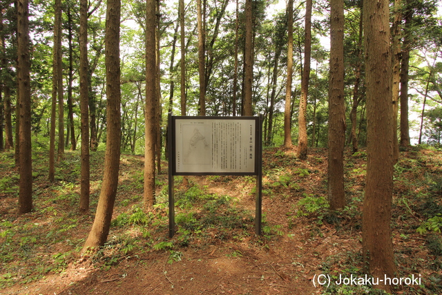 武蔵 青山城の写真