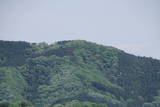 武蔵 青山城の写真