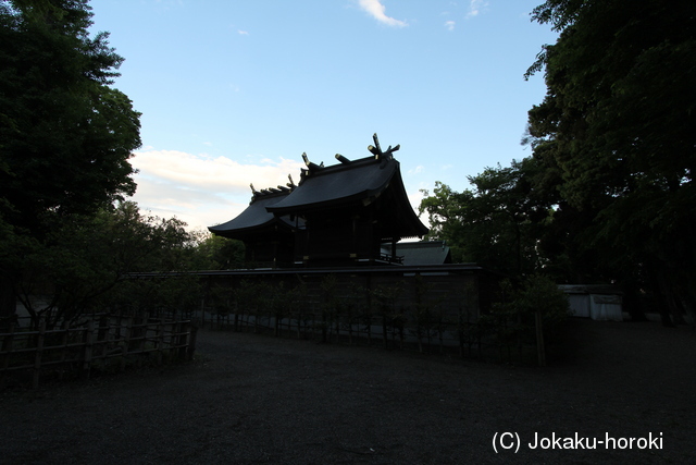 武蔵 粟原城の写真