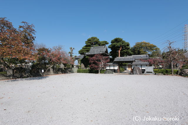 武蔵 別府氏館の写真