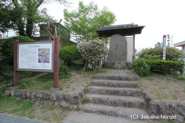 武蔵 秩父氏館の写真