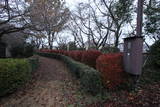 武蔵 藤橋城の写真