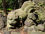 武蔵 深谷城の写真
