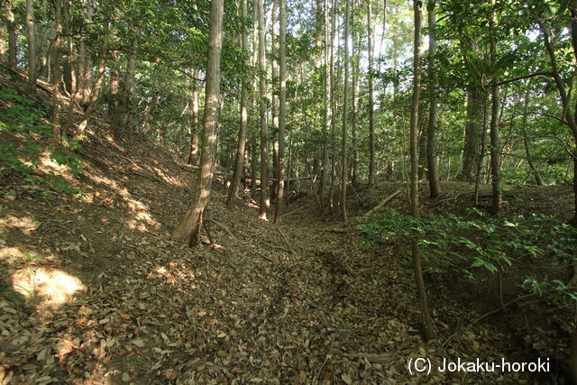 武蔵 花園御岳城の写真