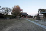 武蔵 羽生城の写真