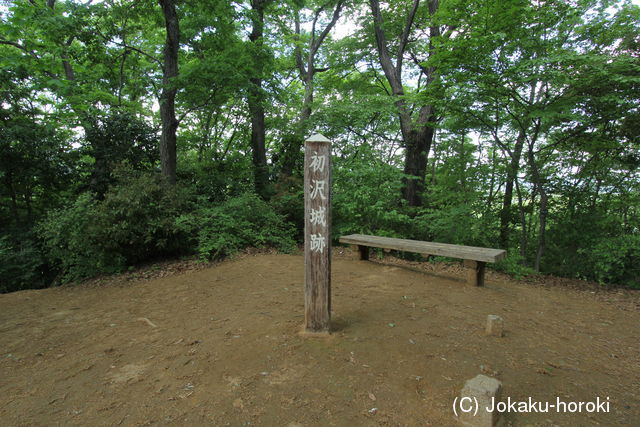 武蔵 初沢城の写真