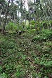 武蔵 檜原城の写真
