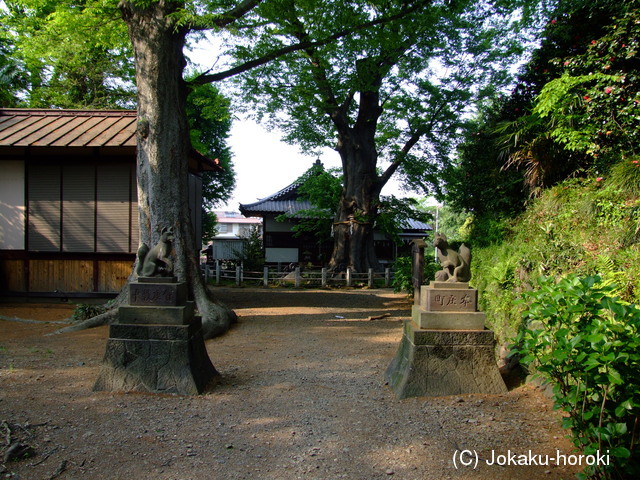 武蔵 本庄城の写真