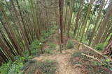 武蔵 浄福寺城の写真