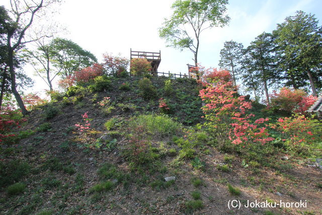武蔵 要害山城(寄居町)の写真
