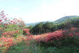 武蔵 要害山城(寄居町)の写真