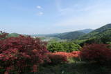 武蔵 要害山城(寄居町)の写真
