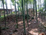 武蔵 庁鼻和城の写真