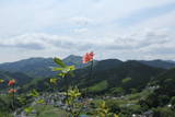 武蔵 腰越城の写真