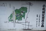 武蔵 小机城の写真