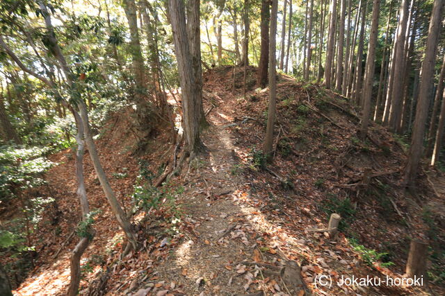 武蔵 枡形山城の写真