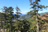 武蔵 枡形山城の写真