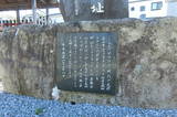 武蔵 真鳥山城の写真