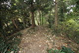 武蔵 御嶽城の写真