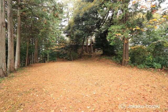 武蔵 龍谷山城(毛呂山町)の写真