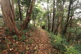 武蔵 龍谷山城(毛呂山町)の写真