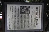 武蔵 中釘陣屋の写真
