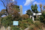 武蔵 仲山城の写真
