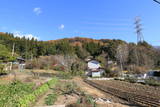 武蔵 仲山城の写真
