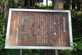 武蔵 野本館の写真