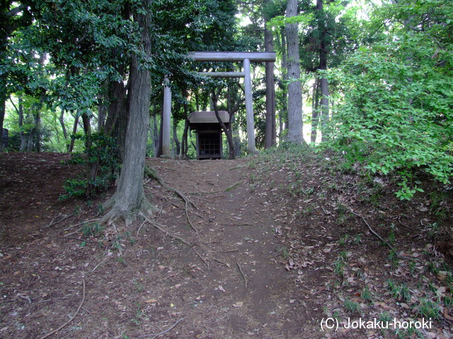 武蔵 小野路城の写真