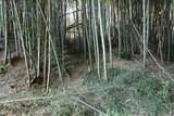 武蔵 泉福寺館の写真