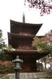 武蔵 世田谷城の写真