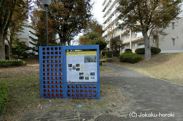 武蔵 島屋敷の写真