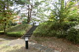武蔵 島屋敷の写真