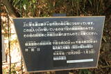 武蔵 獅子ヶ谷城の写真