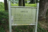 武蔵 菅谷館の写真