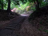 武蔵 滝山城の写真