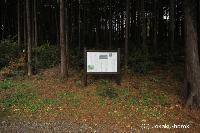 武蔵 田波目城の写真