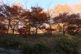 武蔵 浦山城の写真