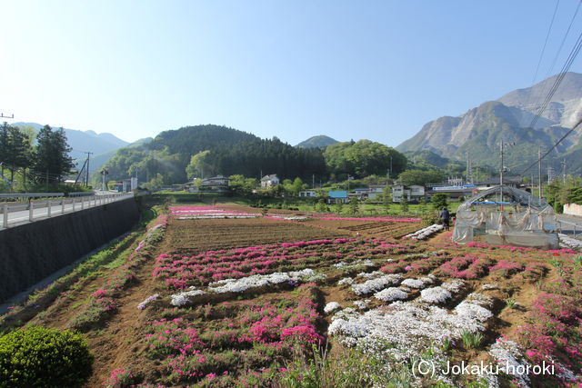 武蔵 根古屋城(横瀬町)の写真