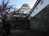 陸奥 会津若松城の写真