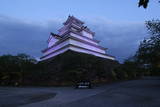 陸奥 会津若松城の写真